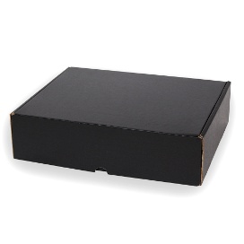 CAJA POSTAL PLUS 13 X 15,5 X4 NEGRA